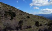 Tour Wandern Moltifao - Sentier de l'Altare - Photo 1