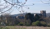 Randonnée Marche Liège - tour au sud de Liège - Photo 8