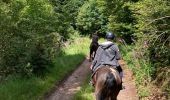 Trail Horseback riding Bertrimoutier - Restaurant belle vue col de sainte marie Tivio  - Photo 4