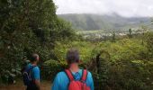 Trail On foot Saint-Louis - Boucle des Canots - Photo 1