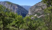 Tour Wandern Pont-en-Royans - 38 pont en Royans serre cocu - Photo 2