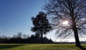 Excursión Senderismo Bruselas - Bois de la Cambre-Foret des Soignes-la Hulpe - Photo 2