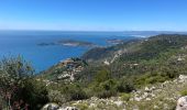 Randonnée Marche Èze - Panoramas autour de EZE - Photo 8