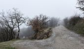 Percorso A piedi Albinea - Borzano - Ca' dei Duchi - Bellavista - Ca' del Vento - Giareto - Borzano - Photo 4