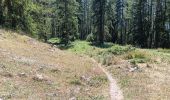 Trail Walking Crots - boucle du lac Lauzerot depuis Gendre - Photo 16