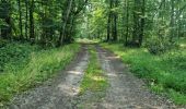 Trail Walking Villechauve - Villechauve 41310 - Photo 8