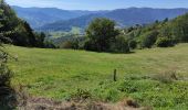 Tour Wandern Hohrod - Hohrodberg après midi - Photo 1