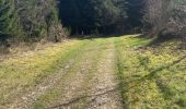 Trail Walking Stavelot - Stavelot- Chemin des source  14 Km - Photo 2