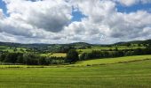 Tour Wandern Manhay - rando deux rys 29/06/2020 - Photo 9