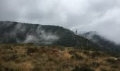 Randonnée Marche Cambon-et-Salvergues - Col de Fontfroide - Les Bourdils - Photo 6