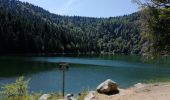 Tour Wandern Woll - Autour du Lac des Corbeaux - Photo 6