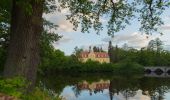 Tour Zu Fuß Tharandt - Gelber Punkt - Photo 1