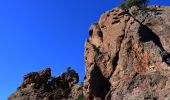 Tour Wandern Mandelieu-la-Napoule - Mandelieu - Chapelle St Jean - Baisse Violette - Suvières - Marsaou - Col des 3 Termes - Oeufs de Bouc - Photo 8