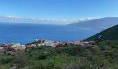 Tocht Stappen Frontera - Sabinosa - El Sabinar - Ermita Virgen de Los Reyes (El Hierro) - Photo 2