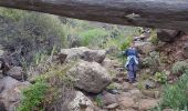 Excursión Ruta Buenavista del Norte - Punta de Teno- Teno Alto - Casablanca - Photo 5