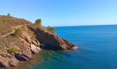 Tocht Stappen Port-Vendres - paullile - Cap bear via la mer retour via les vignes  - Photo 18