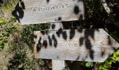 Tour Wandern Roubion - Falcon a Roubion - Photo 10
