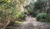 Trail Walking Pignans - ND des Anges-Pignans-17-03-23 - Photo 2