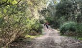 Randonnée Marche Pignans - ND des Anges-Pignans-17-03-23 - Photo 2