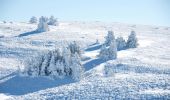 Tour Schneeschuhwandern Saint-Agnan-en-Vercors - Beure - Écondus - Photo 4