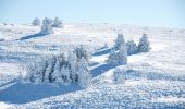 Randonnée Raquettes à neige Saint-Agnan-en-Vercors - Beure - Écondus - Photo 4