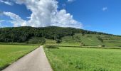 Tour Rennrad Münster im Elsass - La boucle des cigognes le 7 août 2023 - Photo 2