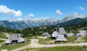Tour Wandern Stein in Oberkrain - 2023-07-29 14:37:35 - Photo 2