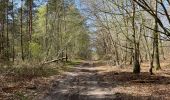 Excursión Senderismo Compiègne - en forêt de Compiègne_48_sur les Routes de la Mariolle et du Grand Veneur - Photo 13