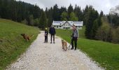 Tour Zu Fuß Proveysieux - Col de la Sure et de la petite Vache par le goulet d'Hurtière - Photo 3