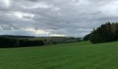 Excursión Senderismo La Roche-en-Ardenne - Transardennaise 1 - Photo 3