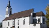 Trail On foot Wittnau - Wittnau - Buschberg - Photo 1