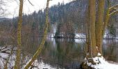 Tour Wandern Xonrupt-Longemer - Le tour du lac de longemer  - Photo 10