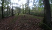 Excursión Bici de montaña Viroinval - VTT sur la vallée des eaux vives (Nismes) - Photo 14