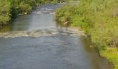 Tour Wandern Le Puy-en-Velay - Chemin de Stenvenson 1 - Photo 10