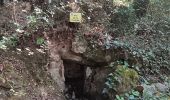 Trail Walking Laroque-des-Albères - laroque . pla d'en guinot . laroque - Photo 18