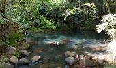 Tocht Stappen Petit-Bourg - boucle tambour riviere au canard - Photo 2