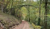 Tocht Stappen La Roche-en-Ardenne - Ramee  - Photo 6