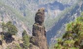 Tocht Te voet El Paso - Wikiloc - Caldera de taburiente Los Brecitos to Parking Barranco de las Angustias - Photo 8