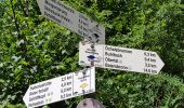 Tour Zu Fuß Baiersbronn - Schöner Platz-Hänger - Photo 10