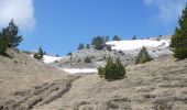 Excursión Senderismo Châtillon-en-Diois - Combau-TêteChevalière 05-05-2018 - Photo 1