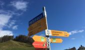 Trail On foot Appenzell - Pfeff ond Lischt - Photo 9
