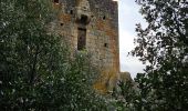 Tour Wandern Grosseto-Prugna - frassu - Photo 1