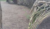 Percorso Marcia Lommel -  CANI-RANDO TOUR (boucle Sahara de Lommel)  - Photo 10