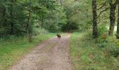 Tour Wandern Bort-les-Orgues - Tour des orgues à Bort les Orgues - Photo 13