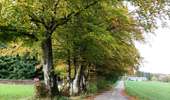 Trail Walking Libramont-Chevigny - Entre Vierre et Ourthe - Photo 6