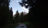 Trail Walking Sarcenas - Col de Porte_La Pinea_Oratoire d'Orgeval - Photo 19