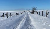 Trail Walking Bastogne - Bastogne 24,5 km - Photo 7