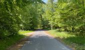 Randonnée Marche Compiègne - en Forêt de Compiègne_50_les Routes des Beaux Monts, de Morpigny et des Nymphes - Photo 11