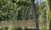 Trail Walking Hotton - Ménil Favay - Photo 8
