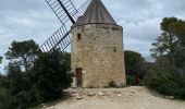 Trail Mountain bike Arles - Étape GR 69 Arles Maussane les Alpilles  - Photo 4